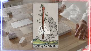 Ace of Wands YES or NO ⚡ Yes or No Tarot: the Ace of Wands Card Meaning Ace Of Wands Yes Or No Reversed