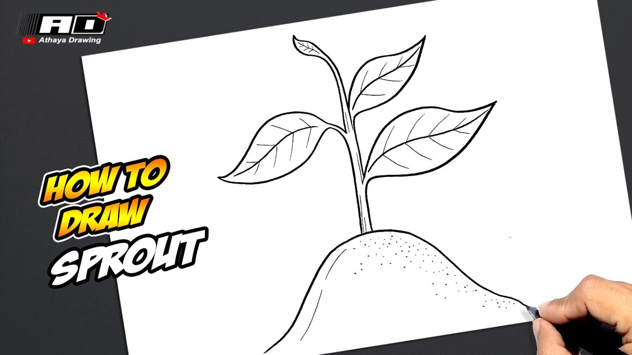 How to draw Sprout - YouTube
