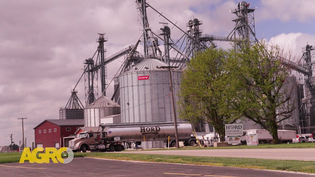 Hord Farms: 50.000 madres y 1 millón de cerdos al año en una granja de escala industrial en EE.UU.