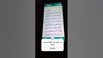 سورة النساء الآية 97-98 سعد الغامدي