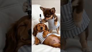 Eye brij bana do #funny