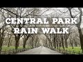 Walking Alone in the Rain in Central Park | NYC Rain Walk
