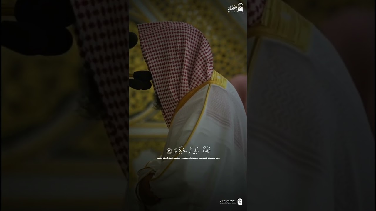 تصاميم قصيرة من الحرم النبوي | شهر صفر 1447هـ الحلقة التاسعة