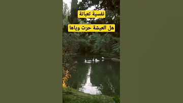 نفسية تعبانة نفسية نفسية تعبانة بيت المعرفة 