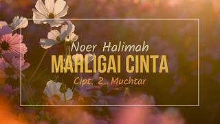 MAHLIGAI CINTA - Noer Halimah | Cipt. Z. Muchtar ( Video Lirik)