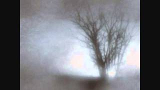 Adversus Semita - Reflections of Isolation - Pt. I