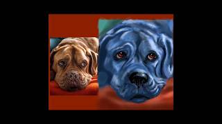 I drew a French Bulldog in blue #dogs #digitalart #stylized
