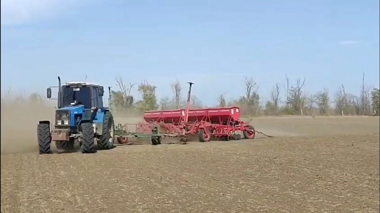 Сев пшеницы озимой.2025.