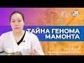 Тайна генома мамонта | Научный журнальный клуб