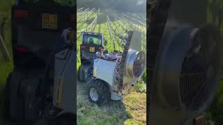 Spring Spraying In The Vineyard moretgiancarlo