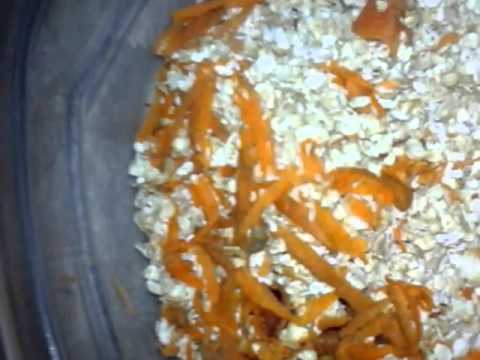 como criar gusanos para peces