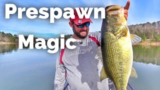 Unlocking Pre-Spawn Bass Fishing Success: Lures, Areas, and Conditions. -  Impulse Rods