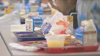 Kids could lose free school lunches under SNAP changes