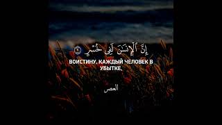 Красивое чтение Мухаммад аль Люхайдана, Сура 103 «Аль-Аср»