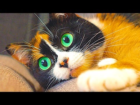 9 ЛАЙФХАКОВ КОТОРЫЕ УПРОСТЯТ ВАШУ ЖИЗНЬ