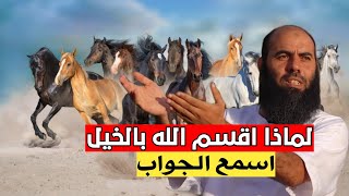 لماذا اقسم الله بالخيل في سورة العاديات:شرح مفصل للأستاذ ياسين العمري💙