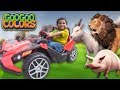 GOO GOO GAGA & ZOO ANIMALS PLAY HIDE N SEEK! LEARN TO COUNT TO 5