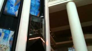 Elevator Accident Caught On Tape