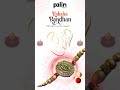 Raksha Bandhan 2025 | Celebrating the Bond of Protection &amp; Growth | Palin Analytics #rakhi2025