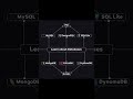 Pathway to Backend Development
