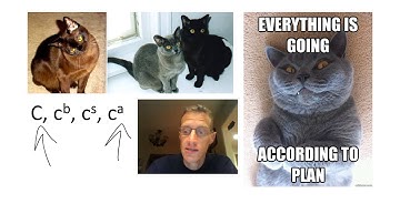 Non Mendelian inheritance