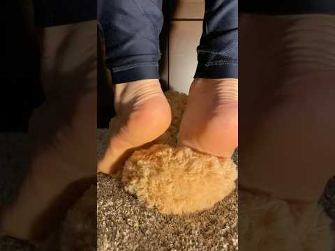 TEDDY BEAR STOMPING | ASMR & CRUSHING