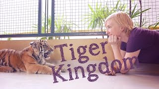Tiger Kingdom - Chiang Mai, Thailand