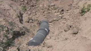 Denver Zoo Begins Building Water Filtration System for Asian Tropics