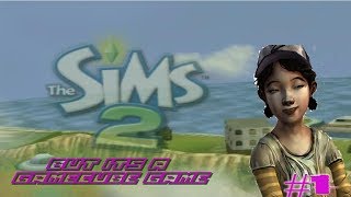 THE SIMS 2 But its a gamecube game back in 2005....