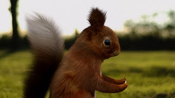 Blender: Animated Squirrel - 3D Animation