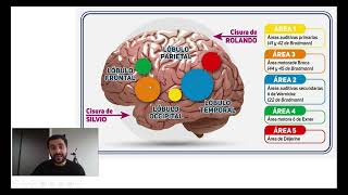 Types of Aphasia and Examples