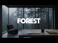 Quiet Forest Workspace 🌲| Deep Work Ambient Music for Mindful Productivity