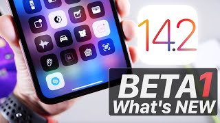 iOS 14.2 Beta 1 Released but why ? Here’s a quick First look
