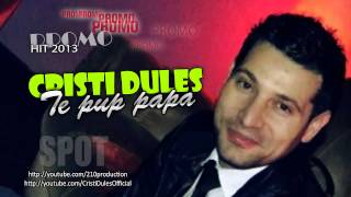 Cristi Dules - Te pup papa HIT 2013 (Spot) IN CURAND