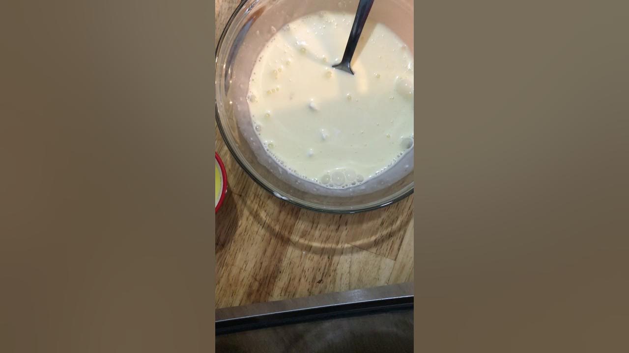 baby-squirrel-formula-recipe-youtube