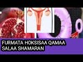 Furmata Hoksisaa Qamaa Salaa Shamaran