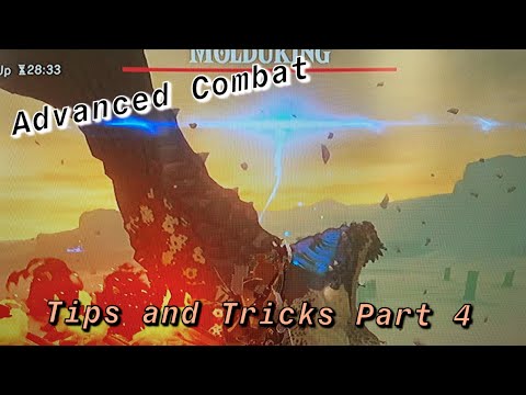 Botw- Advanced Combat Tips and Tricks Part 4