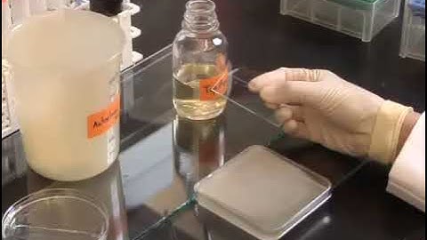 Protocols for Mutagenesis and Functional Selection in the Directed Evolution of Proteins in E. coli