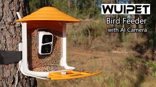 70. Wuipet Smart Bird Feeder with Artificial Intelligence Bird Identification  Dedicated Video