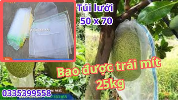 Cung cấp túi lưới Thái Lan bao trái mít, bưởi, mãng cầu. 0335,,399//558