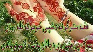 Pushto Maskoor Programme