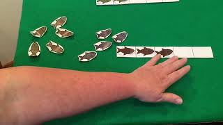 Five Frame activity demo