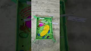 Plant cell 3-D model #diy #art #craft #painting