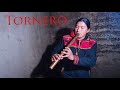 Volvere | Tornero | El Tren Que Nos Separa | Instrumental | Panflute | Quenacho