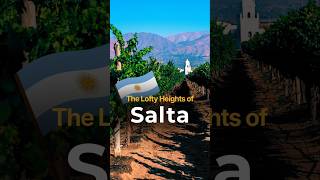 The Lofty Heights of Salta, Argentina #wineeducation #argentina #sommelier