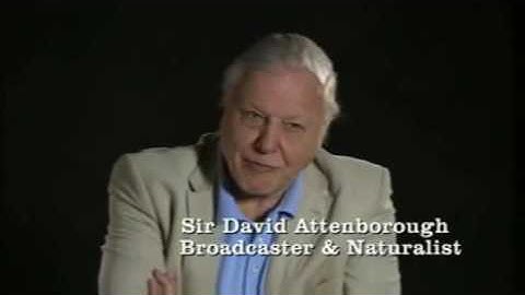 Ida, the missing evolutionary link found