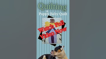 🥰Quilting a Puppy Baby Quilt with Free-Motion and Rulers🐶 #longarmquilting #quilting