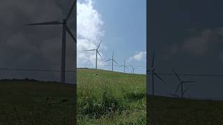 Walking towards Grandas de Salime 🌀🌀🌀🌀 #nature #asmr #asmrsounds #naturelovers #wind #windmill #bird
