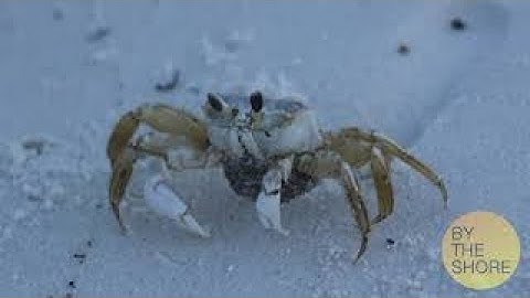 VIC 3001 Module 3 Stills