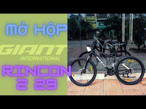 Video Giant Rincon 2 29 | bánh 29 inches | 2022 - Black - youtube